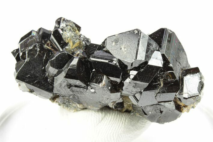 Gemmy Cassiterite Crystals on Quartz - Viloco Mine, Bolivia #249669